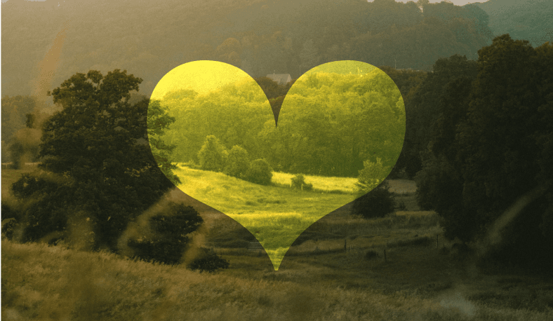 Aider les acteurs locaux à développer leur offre